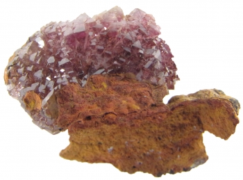 Adamite var. Manganoan (purple) on Limonite from Ojuela Mine, Mapimi, Durango, Mexico [db_pics/pics/adamite4c.jpg]