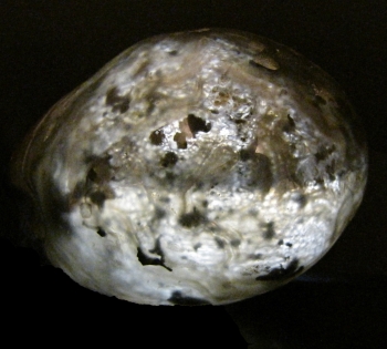Quartz Var. Agate Enhydro Geode (rough and cut) from Rio Grande Del Sur, Brazil [db_pics/pics/agate3c.jpg]
