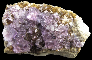 Fluorite from Auglaize Quarry, Junction, Ohio [db_pics/pics/fluorite4a.jpg]