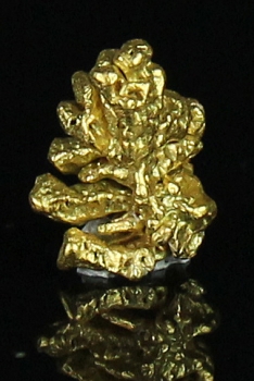 Gold from Sacramento River, Redding, California [db_pics/pics/gold12a.jpg]
