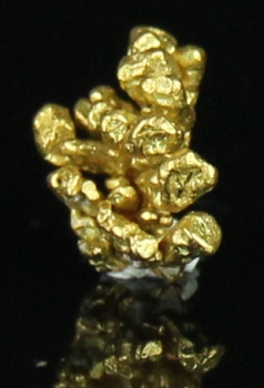 Gold from Sacramento River, Redding, California [db_pics/pics/gold12e.jpg]