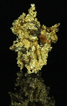 Gold w/ Arsenopyrite from Diltz Mine,  Bear Valley, Whitlock District, Maricopa County, California [db_pics/pics/gold13b.jpg]