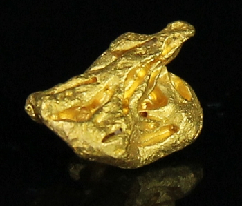 gold from Near Santa Elena, Venezuela [db_pics/pics/gold16c.jpg]