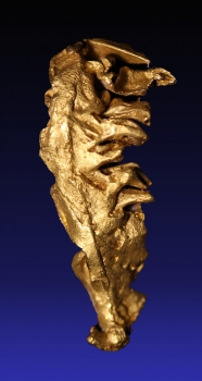 Gold from San Antonio de Morichal, Venezuela [db_pics/pics/gold18b.jpg]