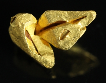 Gold from Pauji, near Santa Elena, Venezuela [db_pics/pics/gold19c.jpg]