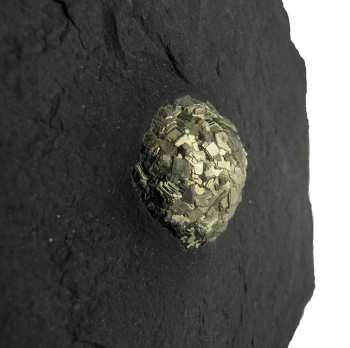 Pyrite in Shale from Pilbara, Western Australia, Australia [db_pics/pics/pyrite1b.jpg]