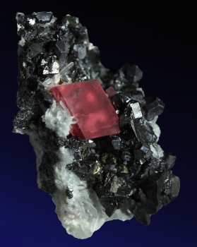 Rhodochrosite and Tetrahedrite from Pincushion 2 pocket, Sweet Home Mine, Alma, Colorado [db_pics/pics/rhodochrosite9a.jpg]
