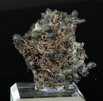 Silver on Acanthite from Himmelsfurst Mine, Bucholz, Erzgebirge, Saxony, Germany [db_pics/pics/silver2a.jpg]