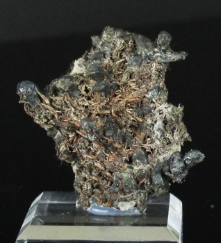 Silver on Acanthite from Himmelsfurst Mine, Bucholz, Erzgebirge, Saxony, Germany [db_pics/pics/silver2d.jpg]