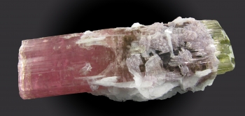 Tourmaline Var. Elbaite w/ Clevelandite and Lepidolite from Himalaya Mine, Mesa Grande, San Diego County, California [db_pics/pics/tourm16d.jpg]
