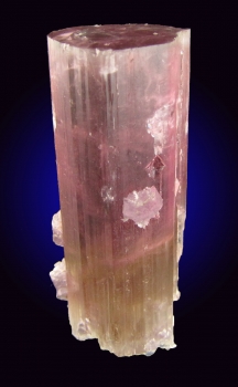 Tourmaline Var. Bi-Color Elbaite with Lepidolite from Himalaya Mine, Mesa Grande, San Diego County, California [db_pics/pics/tourm28a.jpg]