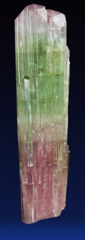 Tourmaline Var. Bi-color Elbaite from Paprok, Nuristan, Afghanistan [db_pics/pics/tourm46c.jpg]