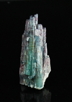Tourmaline Var. Tri-Color Elbaite from Sapo mine, Goibiera, Minas Gerais, Brazil [db_pics/pics/tourm50a.jpg]