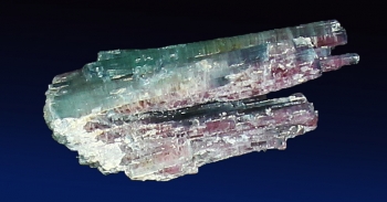 Tourmaline Var. Tri-Color Elbaite from Sapo mine, Goibiera, Minas Gerais, Brazil [db_pics/pics/tourm50c.jpg]
