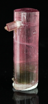 Tourmaline var. Bi-color Elbaite from Himalaya Mine, Mesa Grande, San Diego Co., California [db_pics/pics/tourm54a.jpg]