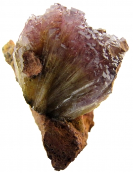 Adamite var. Manganoan (purple) on Limonite from Ojuela Mine, Mapimi, Durango, Mexico [db_pics/pics/adamite4a.jpg]