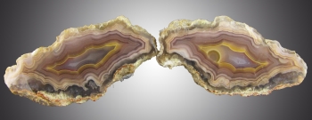 Laguna Agate Pair from Ojo Laguna, Ahumada, Chihuahua, Mexico [db_pics/pics/agate1b.jpg]