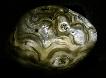 Quartz Var. Agate Enhydro Geode (rough and cut) from Rio Grande Del Sur, Brazil [db_pics/pics/agate2b.jpg]