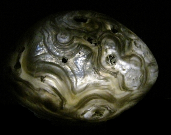 Quartz Var. Agate Enhydro Geode (rough and cut) from Rio Grande Del Sur, Brazil [db_pics/pics/agate2c.jpg]