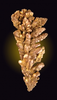 Copper from Keweenaw Peninsula, Michigan [db_pics/pics/copper1a.jpg]