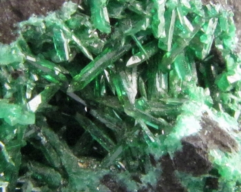 Cuproadamite in matrix from Tsumeb Mine, Namibia [db_pics/pics/cupro2b.jpg]