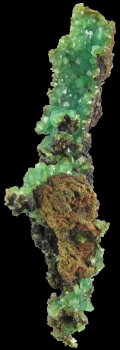 Adamite var. Cuproadamite from Ojuela Mine, Mapimi, Durango, Mexico [db_pics/pics/cupro3a.jpg]