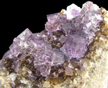 Fluorite from Auglaize Quarry, Junction, Ohio [db_pics/pics/fluorite4b.jpg]