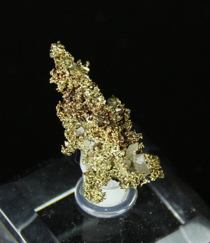 Gold with Quartz from Star of the West Mine, Central City, Gilpin Co., Colorado [db_pics/pics/gold10b.jpg]