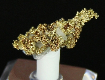 Gold with Quartz from Star of the West Mine, Central City, Gilpin Co., Colorado [db_pics/pics/gold10d.jpg]