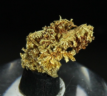 Gold from Kittitas Co., Washington [db_pics/pics/gold11c.jpg]