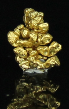 Gold from Sacramento River, Redding, California [db_pics/pics/gold12c.jpg]