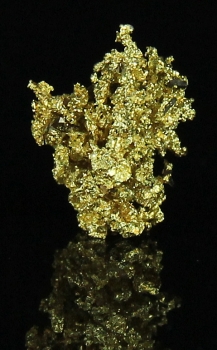 Gold w/ Arsenopyrite from Diltz Mine,  Bear Valley, Whitlock District, Maricopa County, California [db_pics/pics/gold13a.jpg]