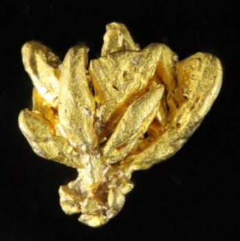 Gold from Near Santa Elena, Venezuela [db_pics/pics/gold21a.jpg]