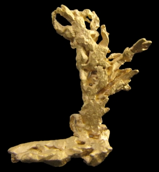 Gold (with 1%+ Palladium) from Near Santa Elena, Venezuela [db_pics/pics/gold3a.jpg]