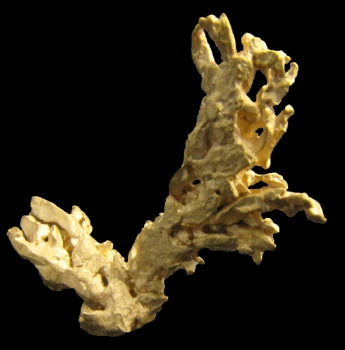 Gold (with 1%+ Palladium) from Near Santa Elena, Venezuela [db_pics/pics/gold3b.jpg]