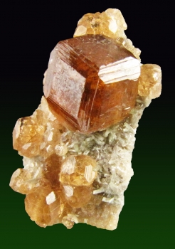 Garnet var. Hessonite w/ Diopside from Jeffrey Mine, Asbestos, Quebec, Canada [db_pics/pics/hessonite6a.jpg]