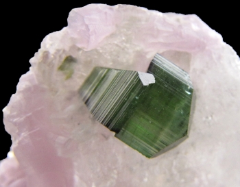 Tourmaline on Quartz with Lepidolite from Pederneira Mine, Sao Jose Da Safira, Minas Gerais, Brazil [db_pics/pics/lepidolite1d.jpg]