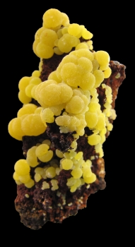 Mimetite from San Pedro Corralitos, Chihuahua, Mexico [db_pics/pics/mimetite1d.jpg]