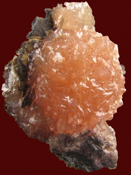 Olmiite on matrix from N Chwanning II Mine, Kuruman, Republic of South Africa [db_pics/pics/olmiite1b.jpg]