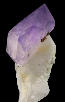 Quartz Var. Amethyst Scepter from Ashaway Village, Hopkinton, Rhode Island [db_pics/pics/quartz19e.jpg]