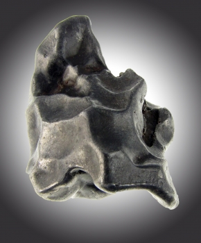 Sikhote-Alin Meteorite from Sikhote-Alin Mountains, Eastern Siberia, Russia [db_pics/pics/sikhote5c.jpg]