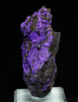 Sugilite with Aegerine from N'Chwanning III Mine, Kalahari manganese fields, Republic of South Africa [db_pics/pics/sugilite2a.jpg]