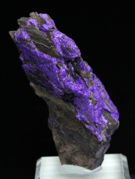 Sugilite with Aegerine from N'Chwanning III Mine, Kalahari manganese fields, Republic of South Africa [db_pics/pics/sugilite2c.jpg]