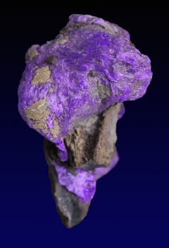 Sugilite with Aegerine from N'Chwanning III Mine, Kalahari manganese fields, Republic of South Africa [db_pics/pics/sugilite3a.jpg]