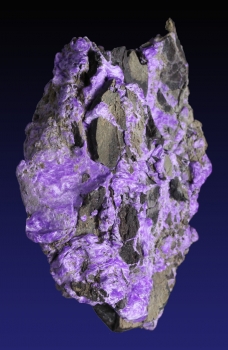 Sugilte with Aegerine from N'Chwanning III Mine, Kalahari manganese fields, Republic of South Africa [db_pics/pics/sugilite4a.jpg]