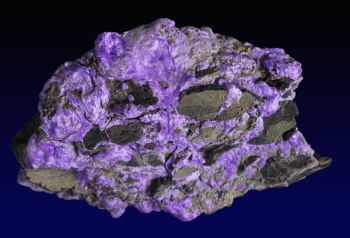 Sugilte with Aegerine from N'Chwanning III Mine, Kalahari manganese fields, Republic of South Africa [db_pics/pics/sugilite4b.jpg]