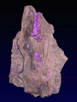 Sugilite with Aegerine from N'Chwanning III Mine, Kalahari manganese fields, Republic of South Africa [db_pics/pics/sugilite5a.jpg]