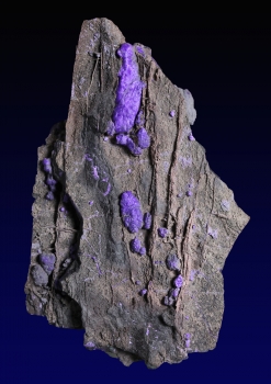 Sugilite with Aegerine from N'Chwanning III Mine, Kalahari manganese fields, Republic of South Africa [db_pics/pics/sugilite5b.jpg]