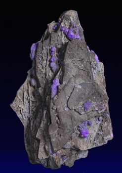 Sugilite with Aegerine from N'Chwanning III Mine, Kalahari manganese fields, Republic of South Africa [db_pics/pics/sugilite5c.jpg]