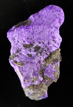 Sugilite with Aegerine from N'Chwanning III Mine, Kalahari manganese fields, Republic of South Africa [db_pics/pics/sugilite6b.jpg]